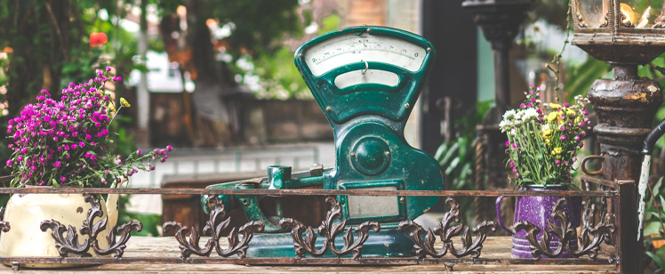 How can I get a phone system for my business that scales with me?